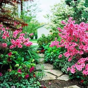 Meet your Posher, Laurie